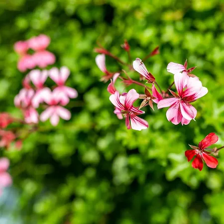Blaues Haus Ubstadt-Weiher